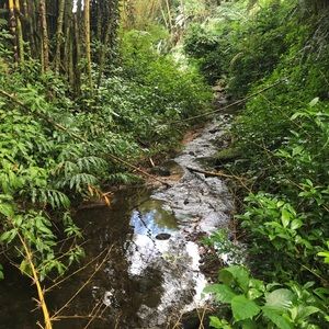 Meet your Posher, Shane